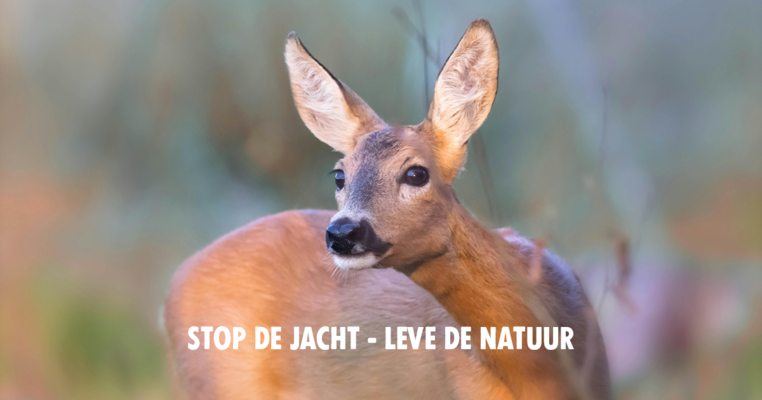 Stop de jacht leve de natuur social share banner